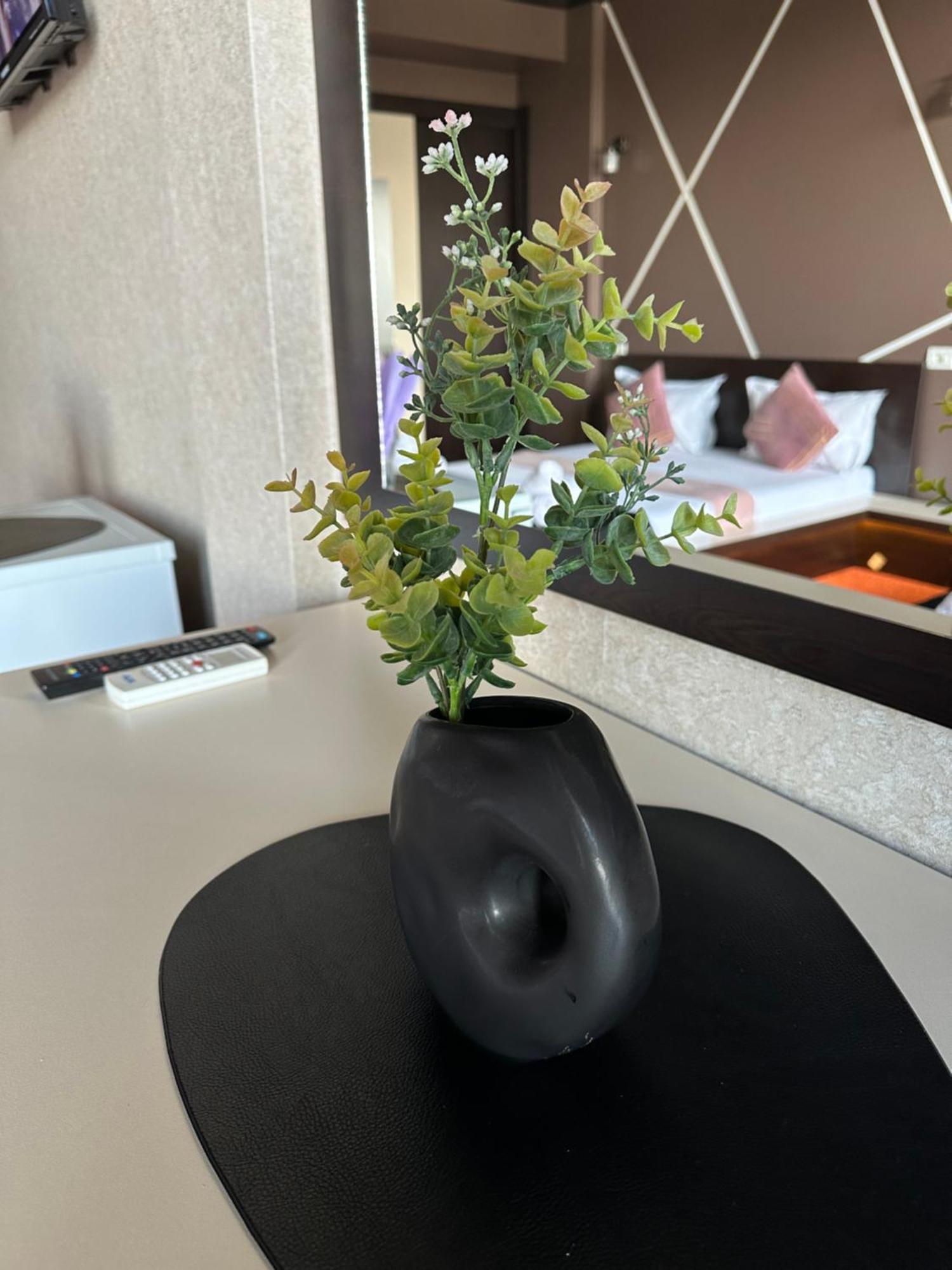 Hotel Sweet Năvodari Zewnętrze zdjęcie